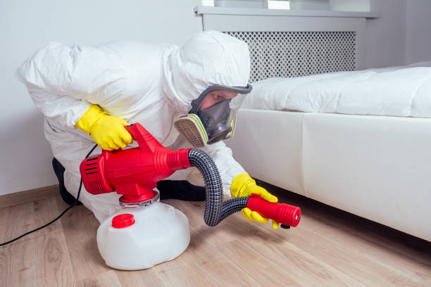 Best Rat Extermination Near Me  in Campbelltown, PA