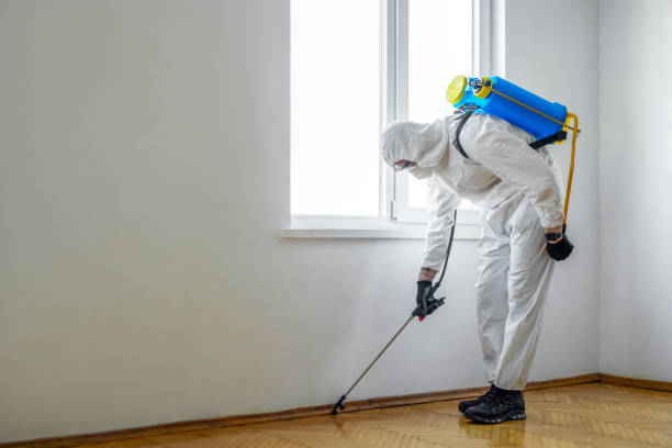 Wasp Removal Services in Campbelltown, PA