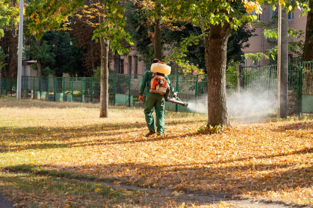 Best Mosquito Control Services  in Campbelltown, PA