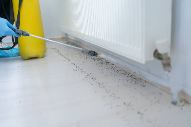 Best Bed Bug Extermination  in Campbelltown, PA