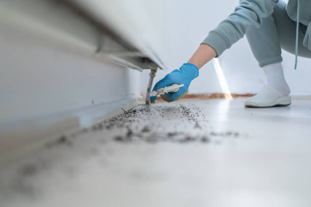 Best Affordable Pest Control Services  in Campbelltown, PA